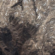 Image for article titled TEST POST